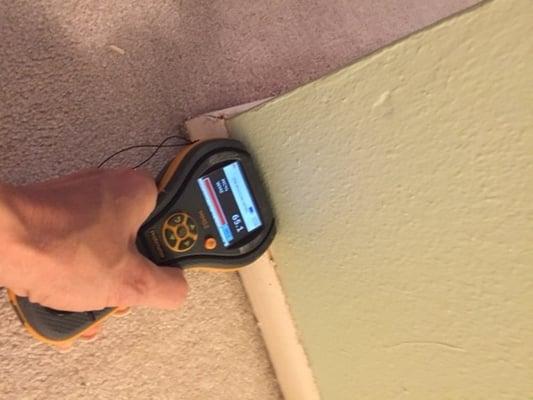 Moisture Detector looking for water in the wall