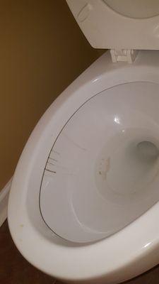 Stained toilet