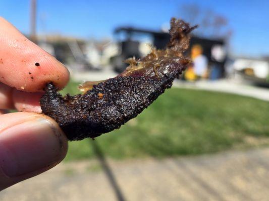 This is how badly it was burned. You cannot eat it!  It would break your teeth.