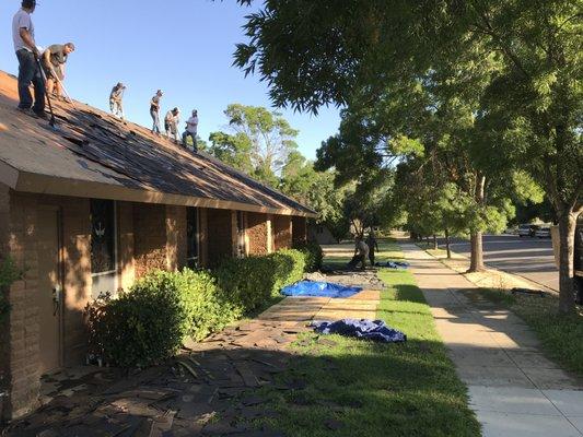 Day 1 - removing old roof with care to keep the lawn clean and safe.