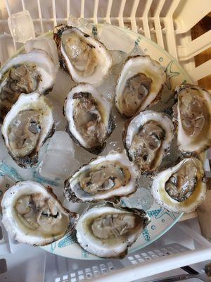 Local oysters (they do NOT pre-shuck them)