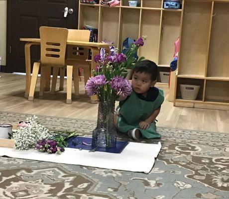 Learning Flower Arrangement