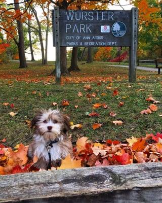 this is our favorite park. easy access, beautiful scenery, a playground, and lots of running space.