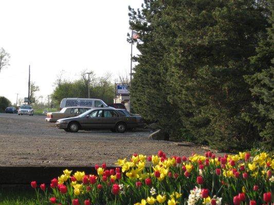 Always friendly atmosphere at Route 14.  Friendly knowledgeable staff, Great selection, Great prices.  Junk Cars always wanted.  $ave