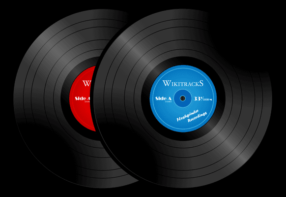 Vinyl Records Quality Transfer to digital file MP3 or CD