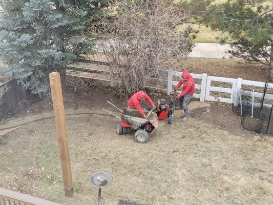 Putting in the 1 of 2 back yard borders