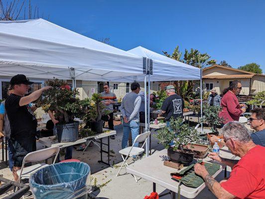 Kofu Kai Visiting Bonsai Club Meeting