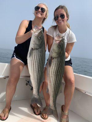 Striped Bass Are Biting