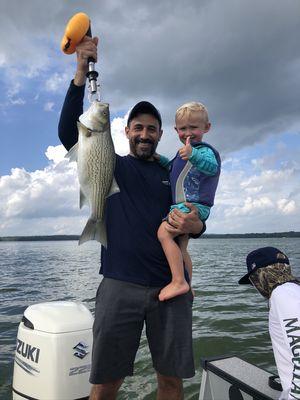 Hybrid striped bass