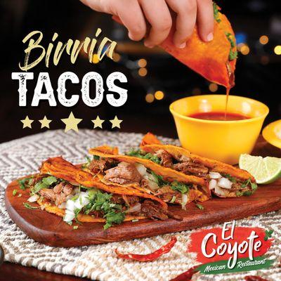 Birria Tacos | El Coyote Mexican Restaurant