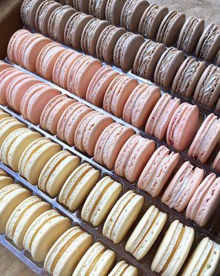 French macarons