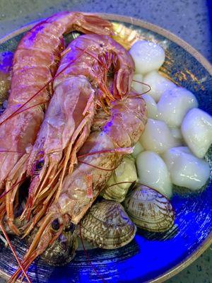 Large Argentinian shrimp, clams, and scallops.