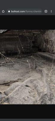 Moldy crawlspace.