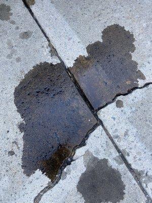 Oil leak from the damaged oil pan