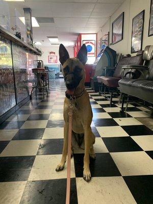 Waiting for our oil change!