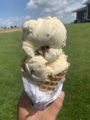 Butter Pecan (top), peanut butter peanut butter cup (bottom)