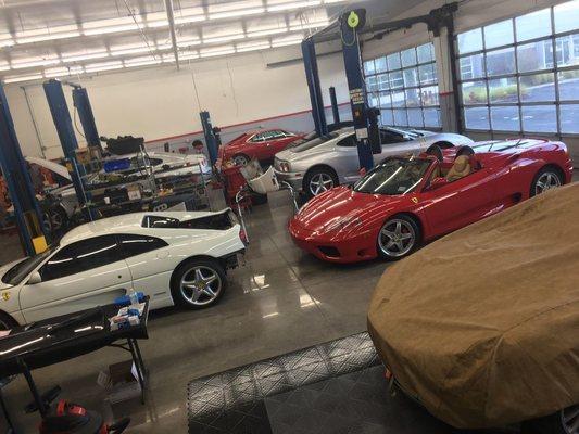 Shop full of Ferrari's