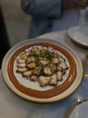 Harissa Octopus