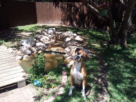 Small Water Feature