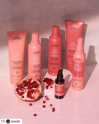 New Nutriplenish line of Aveda products - naturally healthy hair