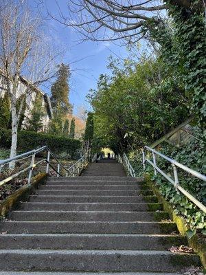 Howe Street Stairs