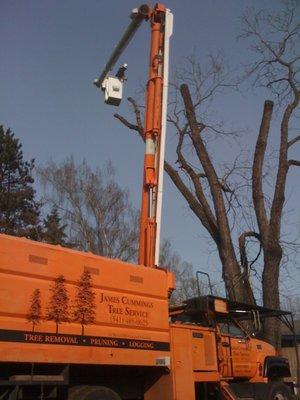 James Cummings Tree Service