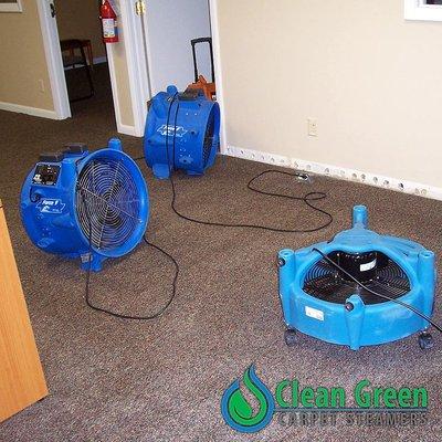 Clean Green Carpet Steamers