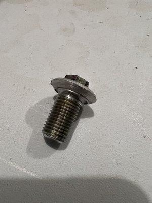 Drain plug and smashed washer.