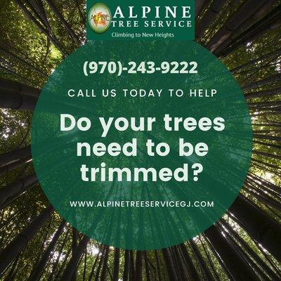 Give us a call today for all your tree service needs!