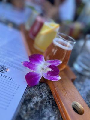 Mimosa flight