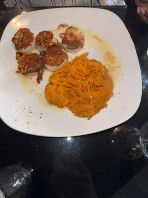 Seared scallops and sweet potato mash