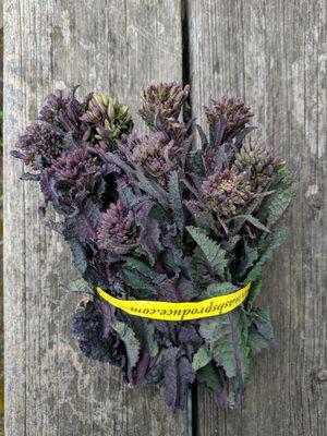 Purple Kale Raab from Nash's in Sequim