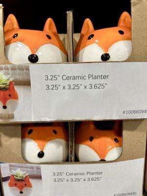 Cutest planters!