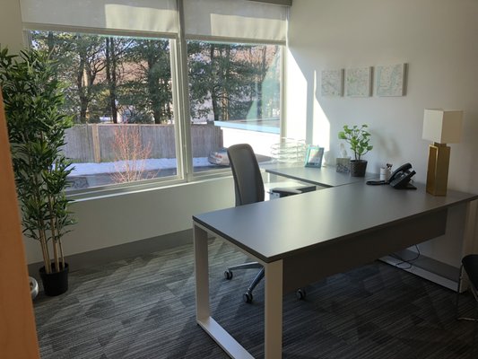 Day Office for rent windowed modern