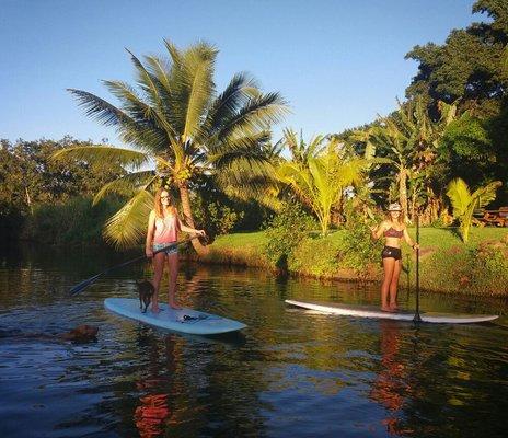 Coconuts