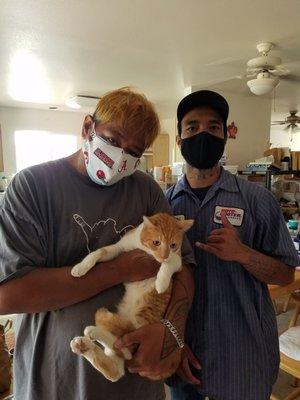 Kitten located and rescued with help of Roto-Rooter Tech