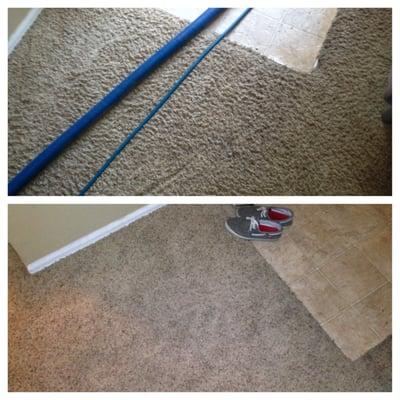 Before and after! No pre-treatment. I just wanted a quick simple clean sanitized carpet.