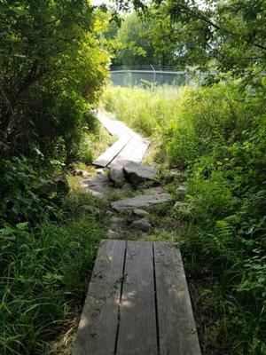 Boardwalks in some wet areas interspersed with rocks you can use as stepping stones if needed.