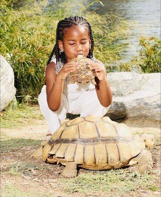 Kaylee Kiss a Turtle !!!