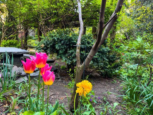 Garden Spring view