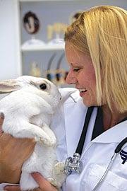 Veterinary Technician Associate Degree Program