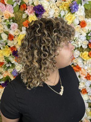 Highlights, Balayage, Curly Wash and Set