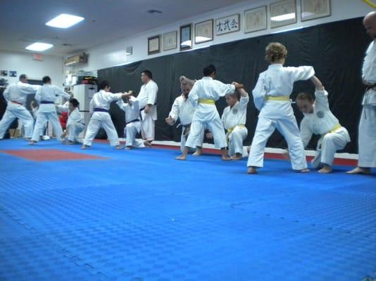 Practicing kata (forms) application