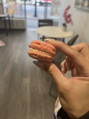 1 single macaron