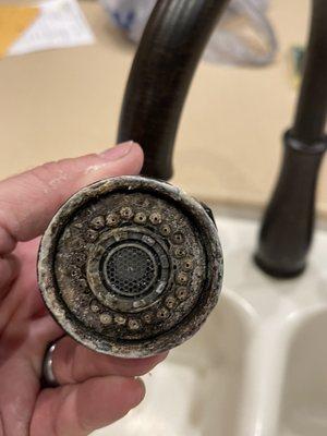 Kitchen sink drain, pure incompetence not seeing this before allowing someone to move into rental