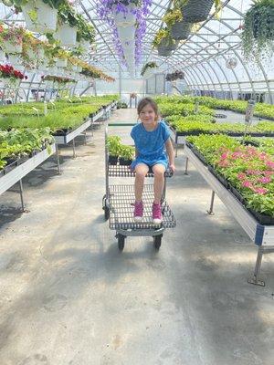 Horning Greenhouse & Garden Centers