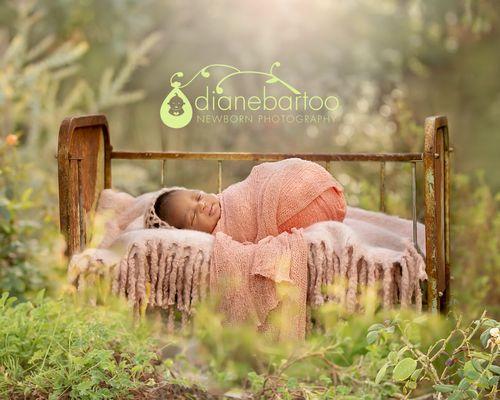 Newborn girl swaddled in pink and placed in an antique patina crib for her Riverside Newborn Photo session