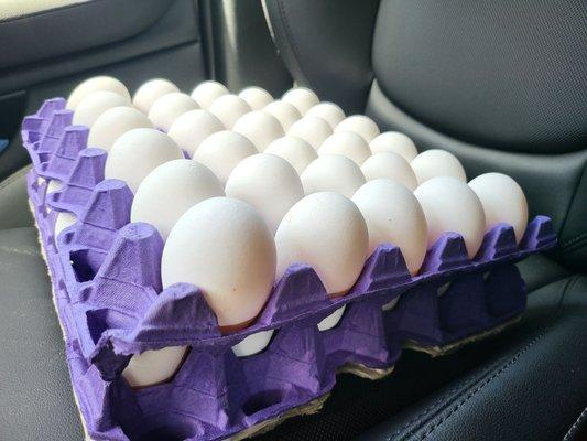 5 dozen eggs for $26!