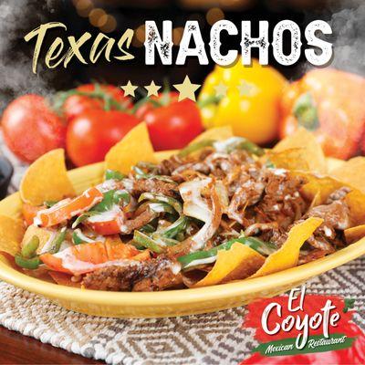 Texas Nachos | El Coyote Mexican Restaurant