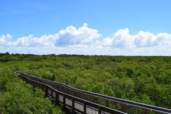 Weedon Island Preserve Cultural and Natural History Center